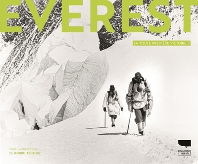 Everest - Image principale