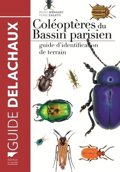 Coléoptères du bassin parisien - Image principale