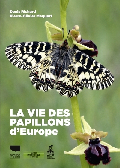 La vie des papillons d'europe - Image principale