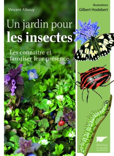 Un jardin pour les insectes - Image principale