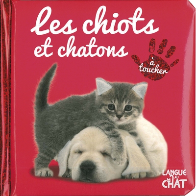 Bébé touche-à-tout les chiots et chatons - tome 5d - Image principale