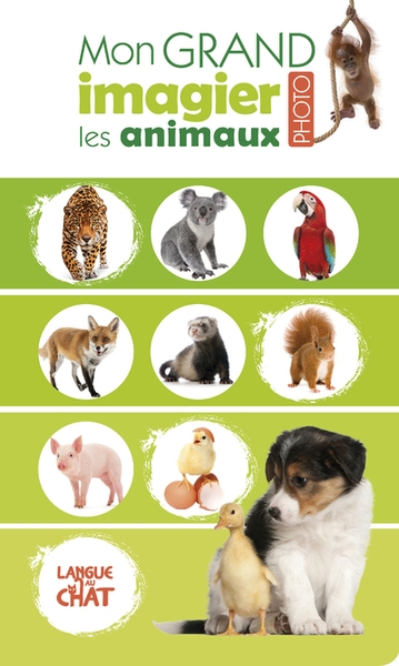 Mon grand imagier photo - les animaux - Image principale