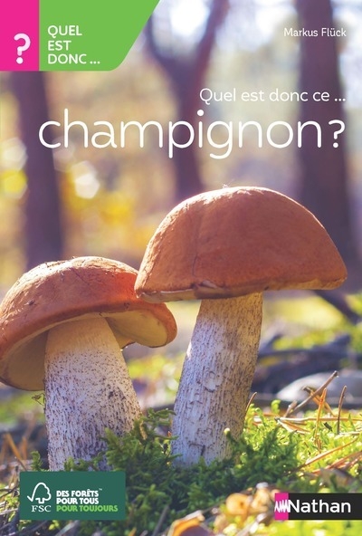 Quel est donc ce champignon ? - Image principale