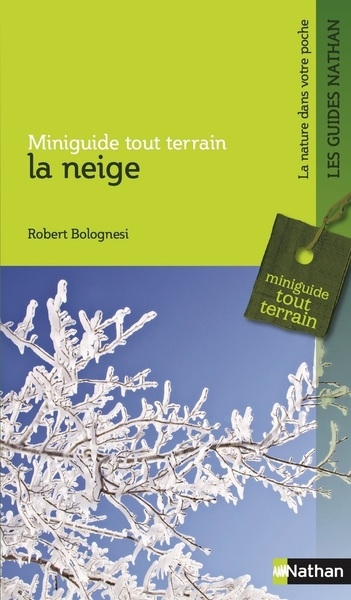 La neige - Image principale