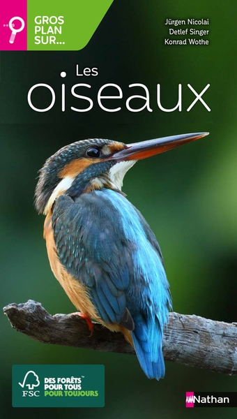 Les oiseaux - Image principale