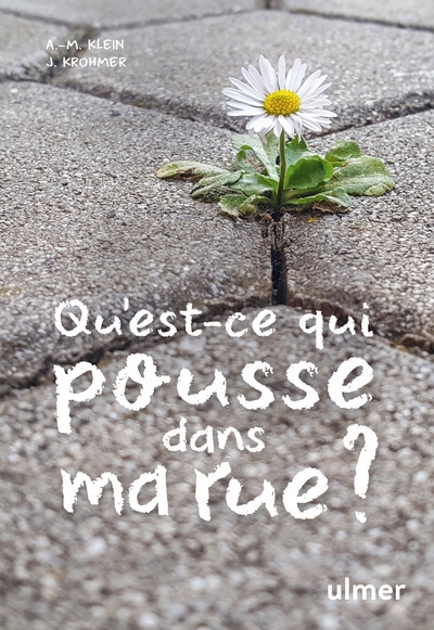Qu'est-ce qui pousse dans ma rue ? - Image principale