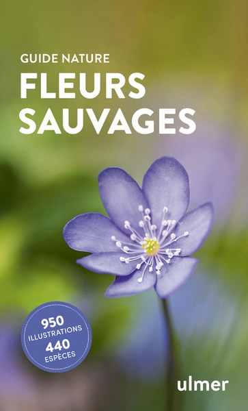 Fleurs sauvages - Image principale