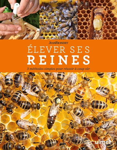 Elever ses reines - 3 méthodes simples pour réussir à coup sûr - Image principale