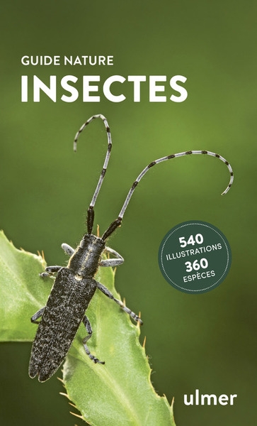 Insectes - Image principale