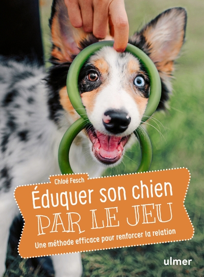 Éduquer son chien par le jeu - une méthode efficace pour renforcer la relation - Image principale