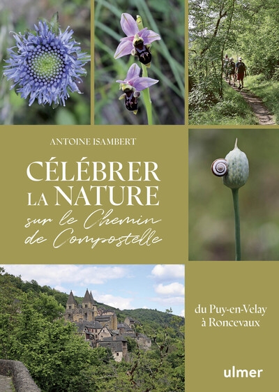 Célébrer la nature sur le chemin de compostelle - du puy-en-velay à roncevaux - Image principale