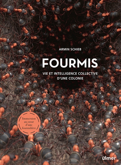 Fourmis - vie et intelligence collective d'une colonie - Image principale