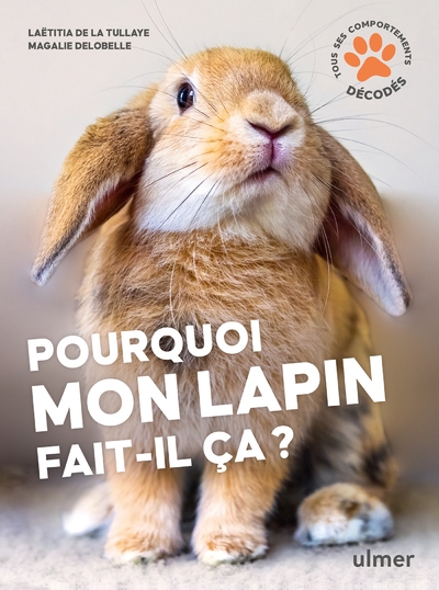 Pourquoi mon lapin fait-il ça ? - Image principale