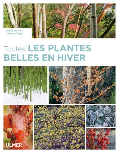 Toutes les plantes belles en hiver - Image principale