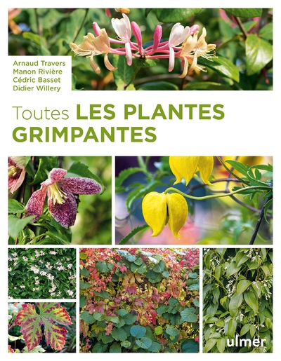 Toutes les plantes grimpantes - Image principale