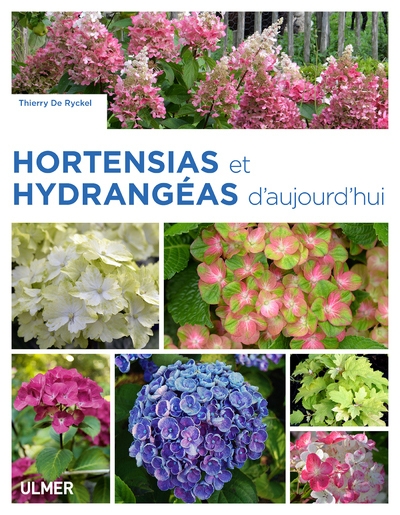 Hortensias et hydrangéas d'aujourd'hui - Image principale