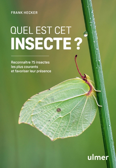 Quel est cet insecte ? - reconnaître 75 insectes les plus courants et favoriser leur présence - Image principale