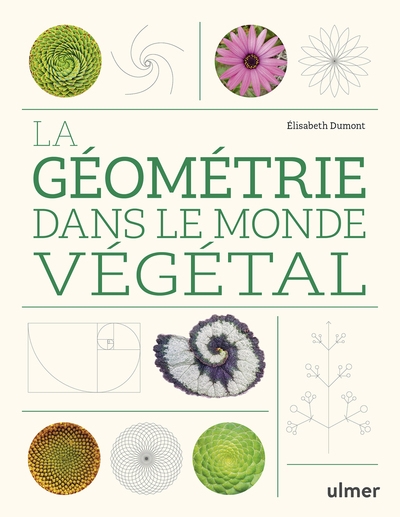 La géometrie dans le monde végétal - Image principale
