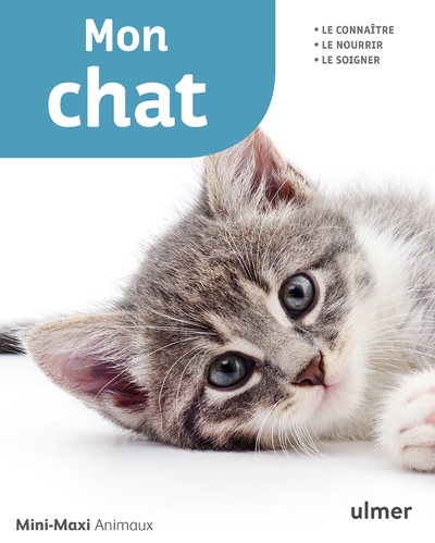 Mon chat - Image principale