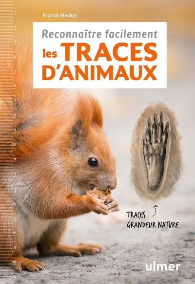 Reconnaître facilement les traces d'animaux - traces grande nature - Image principale