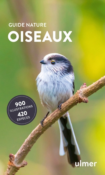 Oiseaux - Image principale