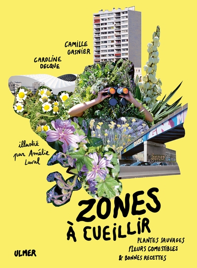 Zones à cueillir - plantes sauvages, fleurs comestibles et bonnes recettes - Image principale