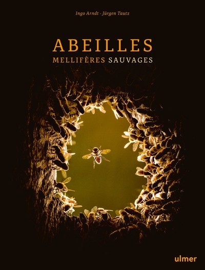 Abeilles mellifères sauvages - Image principale
