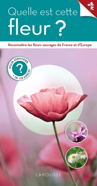 Quelle est cette fleur ? - Image principale