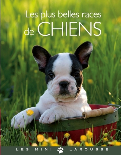 Les plus belles races de chiens - Image principale