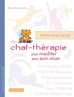 Petits exercices de chat-thérapie pour méditer avec son chat - Image principale