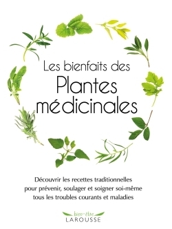 Les bienfaits des plantes médicinales - Image principale