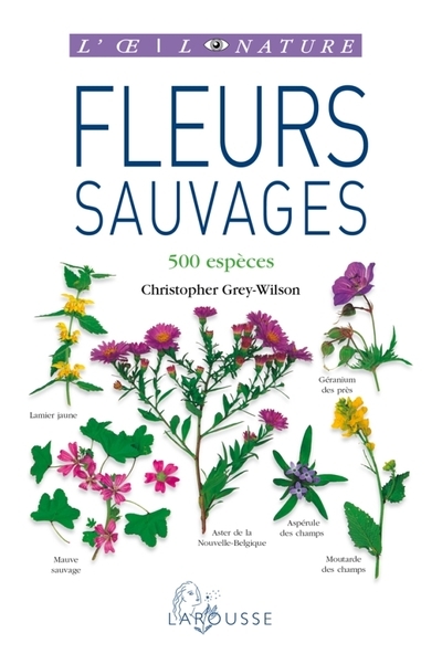 Fleurs sauvages - nouvelle présentation - Image principale