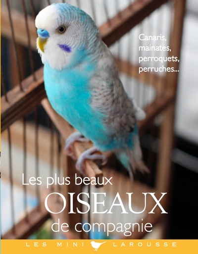 Les plus beaux oiseaux de compagnie - Image principale