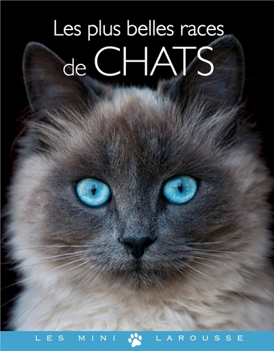 Les plus belles races de chats - Image principale