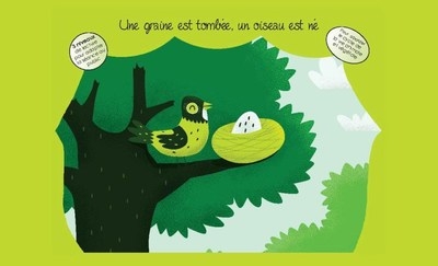 Une graine est tombee un oiseau est ne - Image principale