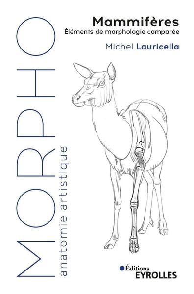 Morpho mammifères - Image principale