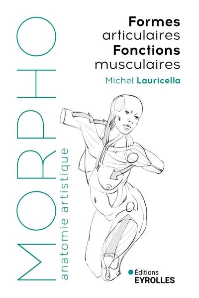 Morpho formes articulaires, fonctions musculaires - Image principale