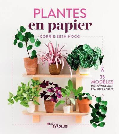 Plantes en papier - Image principale