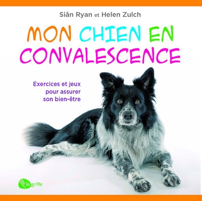 Mon chien en convalescence - Image principale
