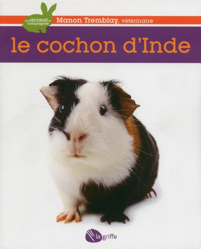 Le cochon d'inde ne - Image principale
