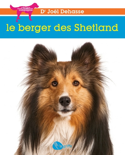 Le berger des shetland - Image principale