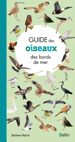 Guide des oiseaux des bords de mer - Image principale