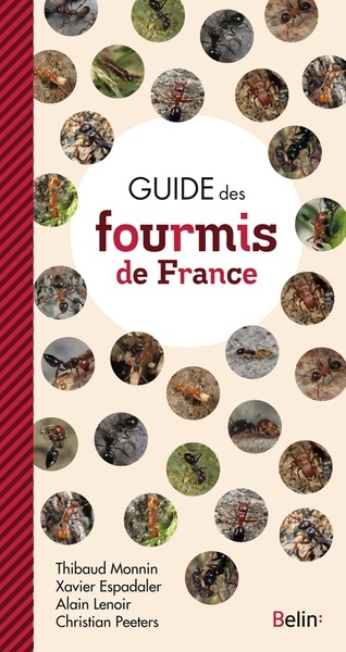 Guide des fourmis de france - Image principale