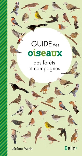 Guide des oiseaux des forêts et campagnes - Image principale
