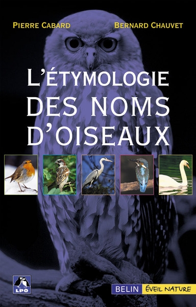 L'étymologie des noms d'oiseaux - Image principale