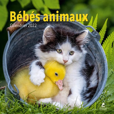 Bébés animaux - calendrier 2022 - Image principale