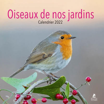 Oiseaux de nos jardins - calendrier 2022 - Image principale