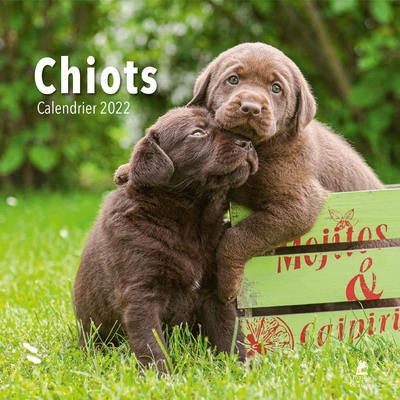 Chiots - calendrier 2022 - Image principale