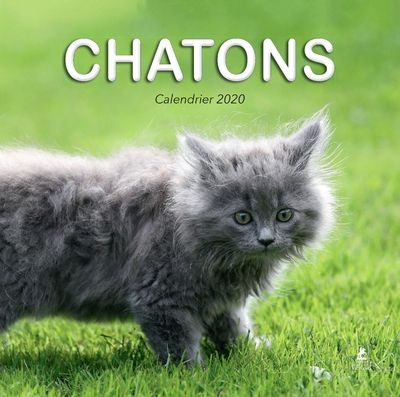Calendrier chatons 2020 - Image principale