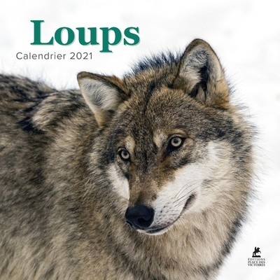 Loups - calendrier 2021 - Image principale